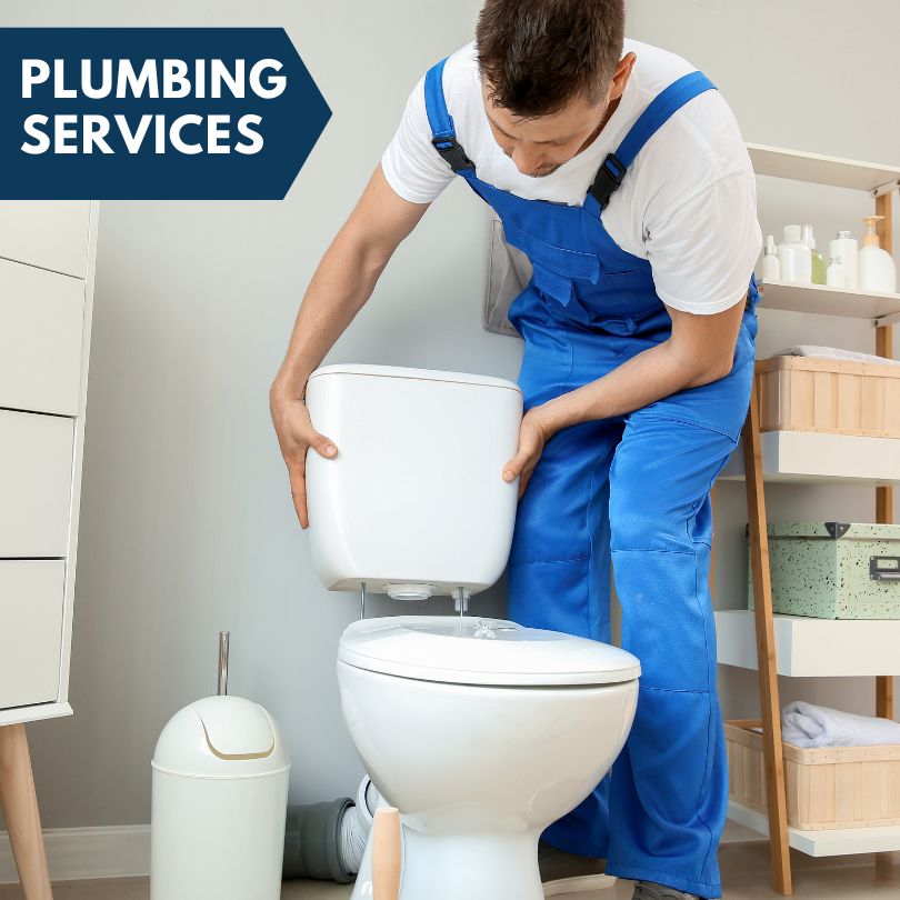 Plumbing Company in Modoc, IL